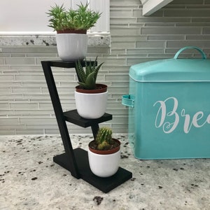 May include: A black, three-tiered plant stand holding three potted succulents and cacti in white ceramic pots. A turquoise bread box with the word "Bread" in white script is to the right.