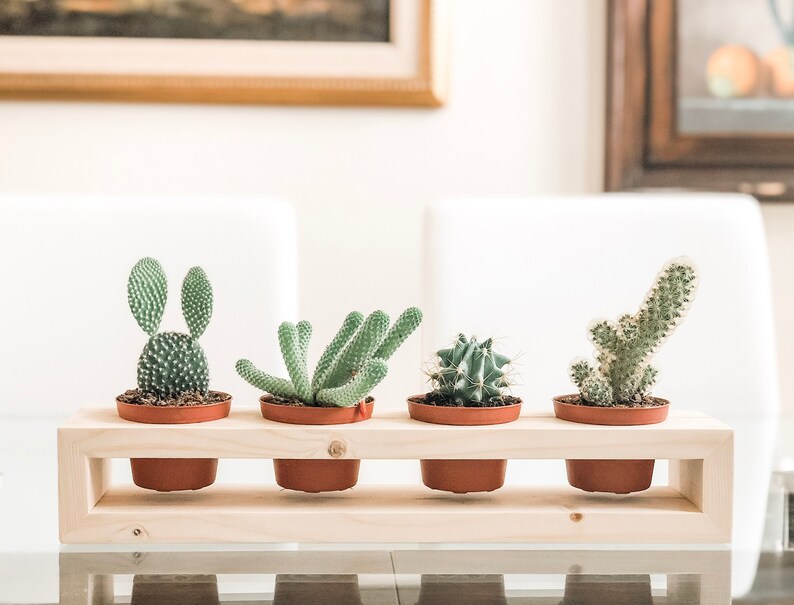 Four Plant Wooden Plant Stand / Succulent Holder / Handmade Etsy