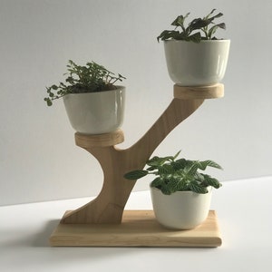 May include: A three-tiered wooden plant stand with three white ceramic pots, each holding a different type of small green plant. The stand is made of light-colored wood and has a unique, curved design.