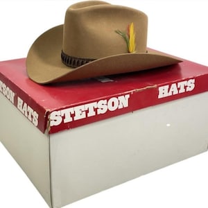 Stetson 3x Beaver Hat - Etsy