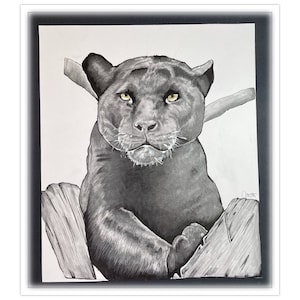 Panther Drawing, Pencil Realistic Animal Drawing, Animal Hand-made Drawings, Original Artwork