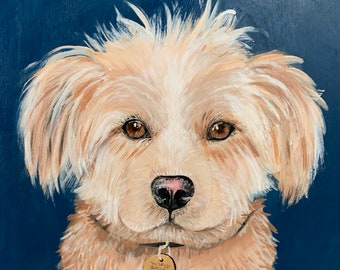 Custom Pet Portraits