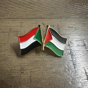 Peut inclure: Une épingle dorée représentant deux drapeaux, chacun avec des rayures rouges, blanches, noires et vertes. Les drapeaux flottent légèrement, avec un mât doré. L'épingle est posée sur un fond en bois.