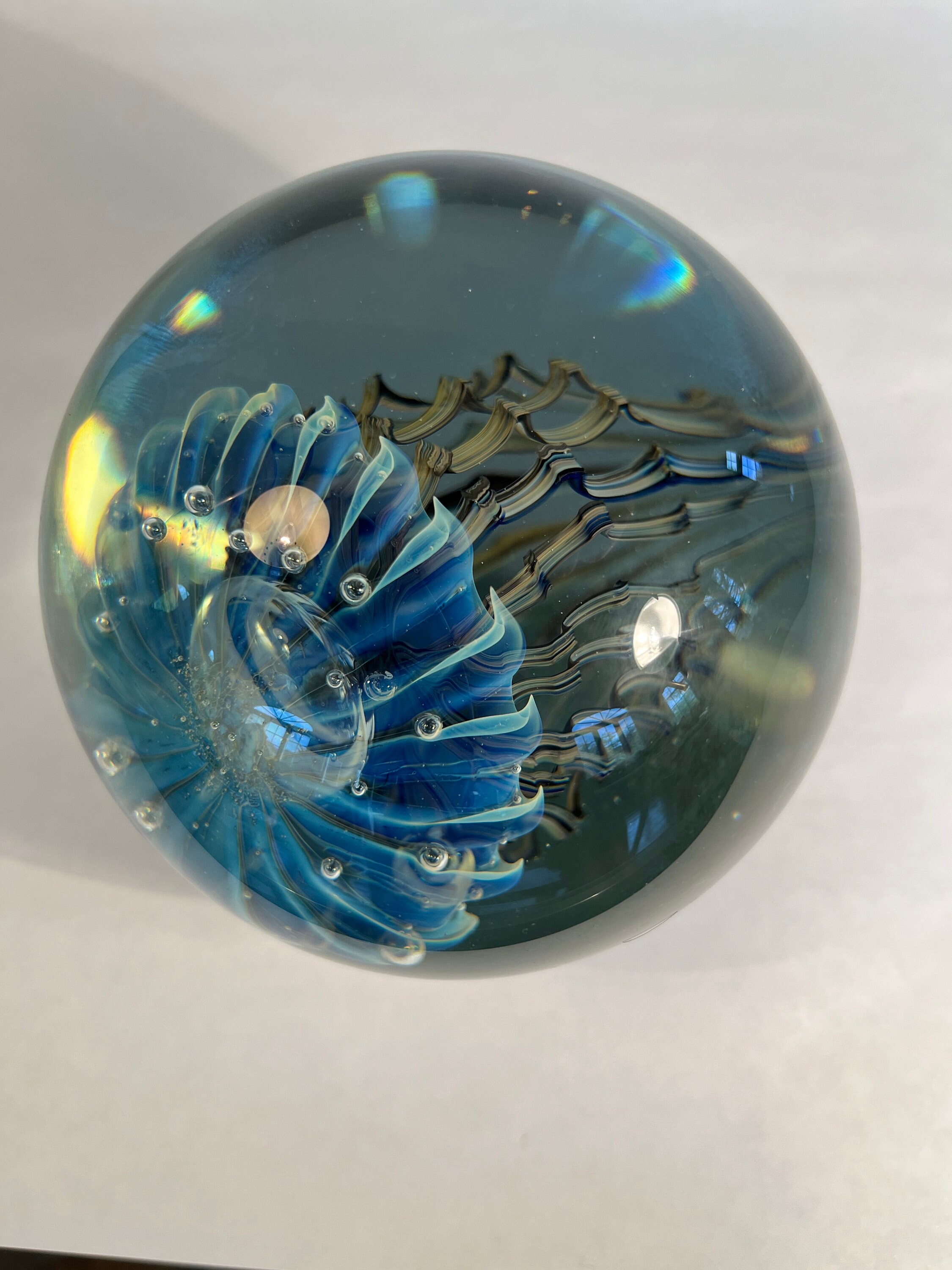 Jelly Fish Paper Weight Hand Blown Art Glass by Robert Eickholt - Etsy