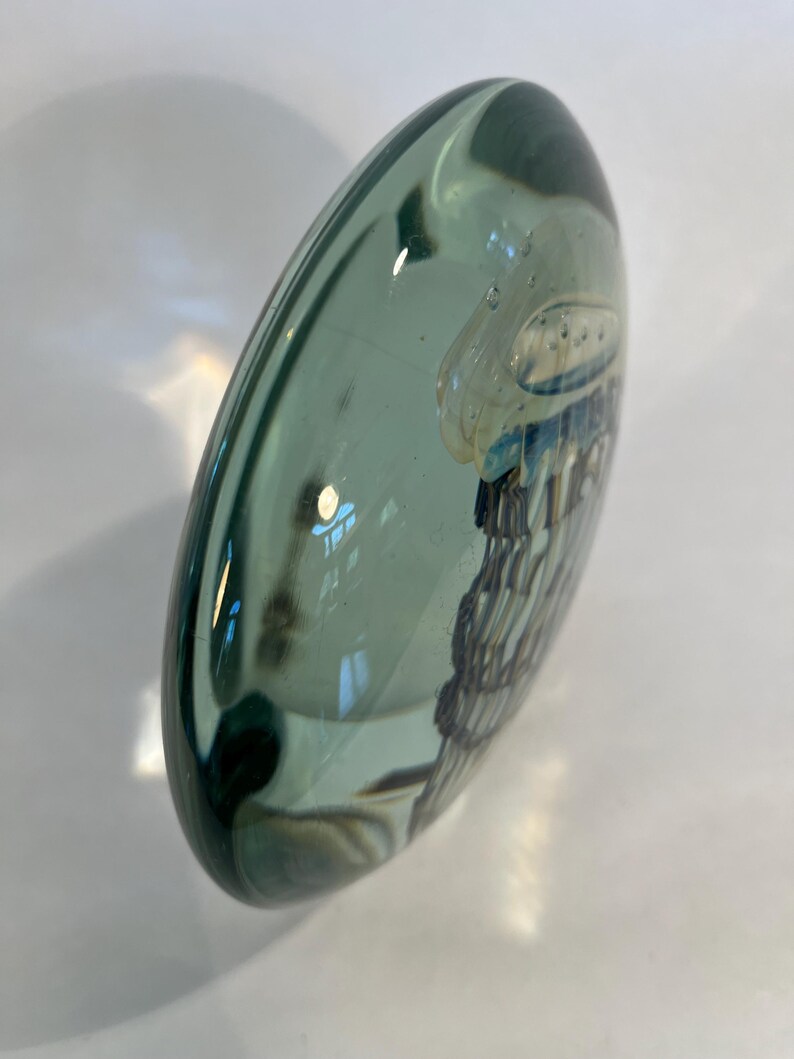 Jellyfish Sculpture Hand Blown Art Glass by Robert Eickholt - Etsy