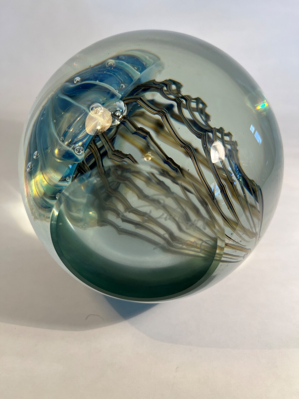 Jelly Fish Paper Weight Hand Blown Art Glass by Robert Eickholt - Etsy
