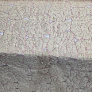 May include: Close-up of a fabric roll with a repeating floral pattern. The fabric has a textured, quilted appearance with a light beige base and delicate pink outlines. The floral design is evenly spaced across the material.