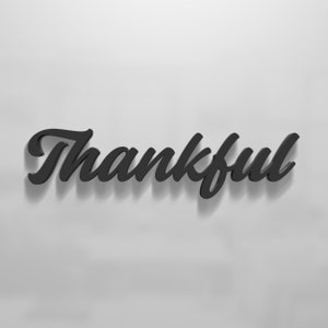 May include: Black 3D word art that says "Thankful" on a white background.