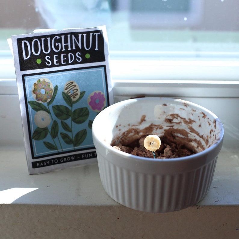 May include: A packet of "DOUGHNUT SEEDS" with a blue background and donut flower illustrations sits next to a white ramekin with soil and a donut-shaped object. The text "EASY TO GROW - FUN TO" is visible on the packet.