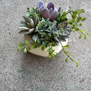 May include: A small, off-white ceramic planter filled with a variety of faux succulents. The arrangement includes green, gray, and purple succulent leaves, with small green sprigs cascading over the sides. The planter sits on a gray concrete surface.