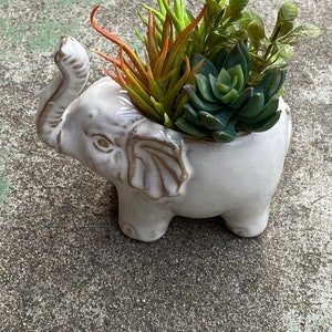 Elephant planter pot with or without faux succulent arrangement