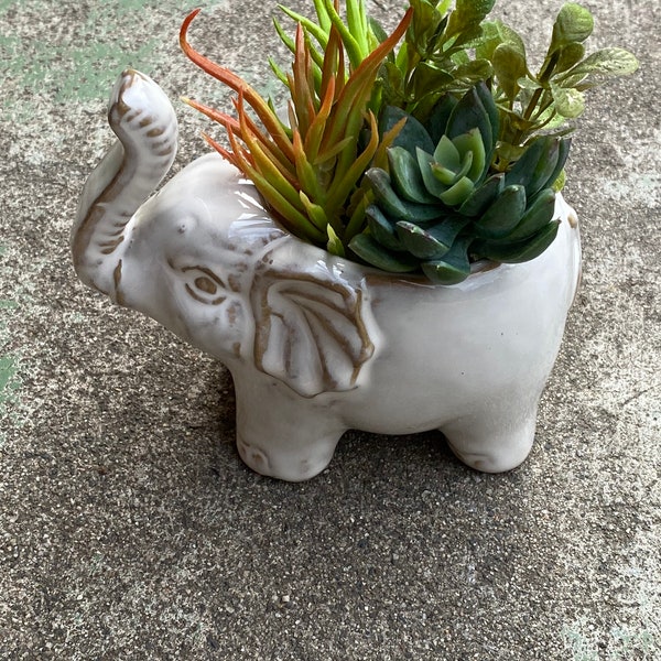 Elephant planter pot with or without faux succulent arrangement