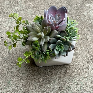 Small faux succulent arrangement, fake succulent arrangement