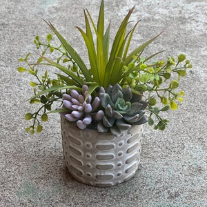 May include: A small, round, gray concrete planter with a textured pattern, filled with a variety of artificial succulents and greenery. The arrangement includes spiky green leaves, small round green sprigs, and several succulent plants in shades of green and purple.