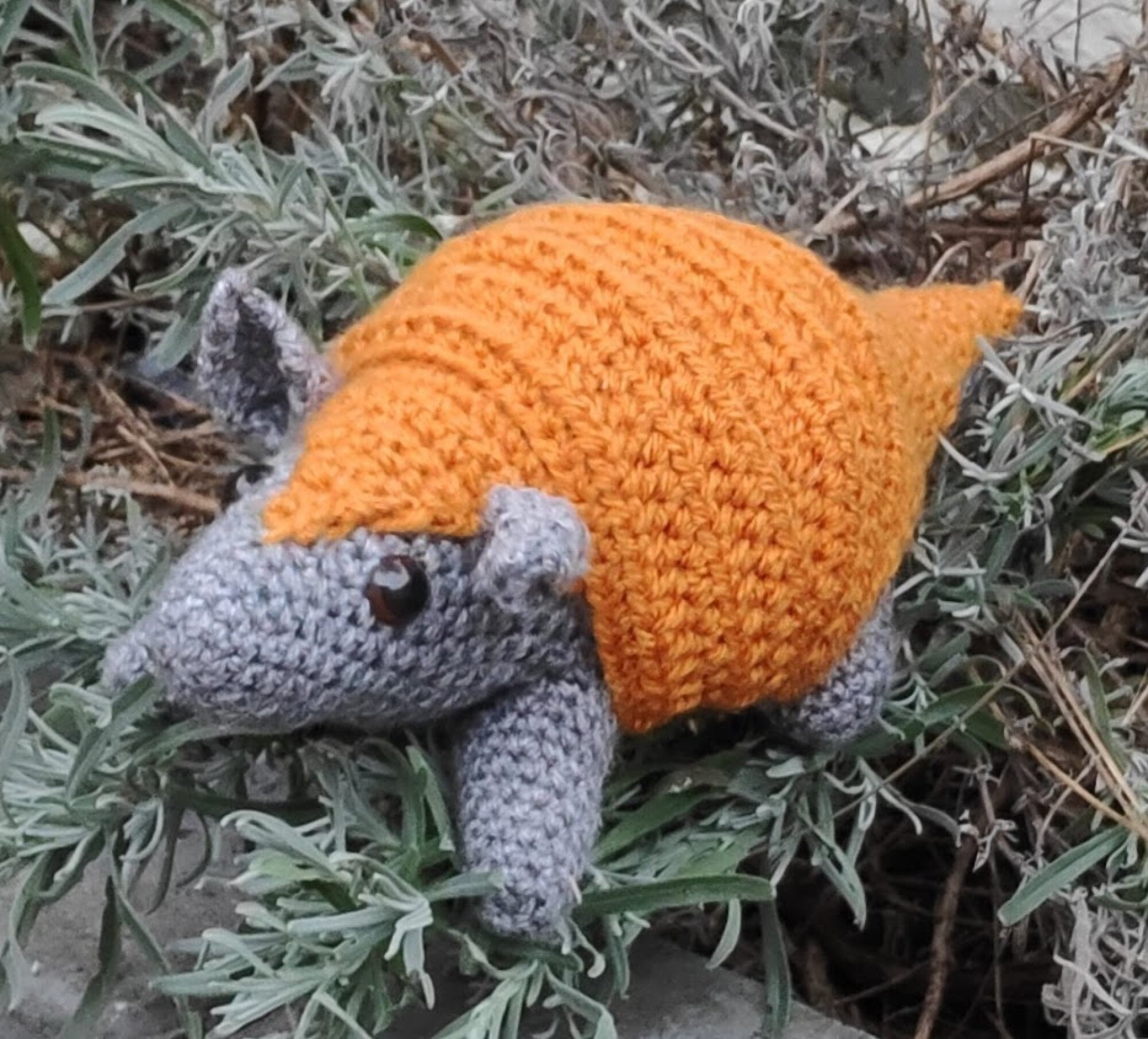 Armadillo Armadillo Crochet Pattern Crochet Pattern Crochet Etsy