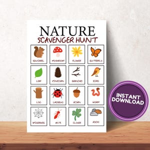 Nature Printable, Nature Scavenger Hunt, Nature Walk, Identify Nature, Nature Printables