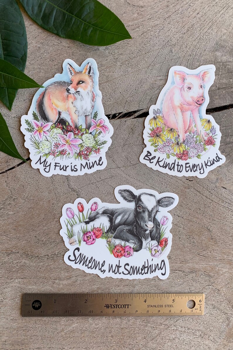 Animal Rights Stickers Set of 3 Etsy
