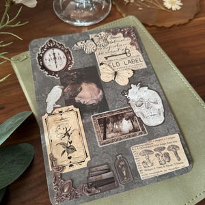May include: A collage of vintage-style stickers on a gray background. The stickers feature a skull, a butterfly, a chandelier, a floral design, a book stack, a bottle with a flower inside, and a mushroom illustration with text in French. The text reads "a rapport à Tongra 1. Changigan d'un rouge doré, anite rougissante on rougetre".