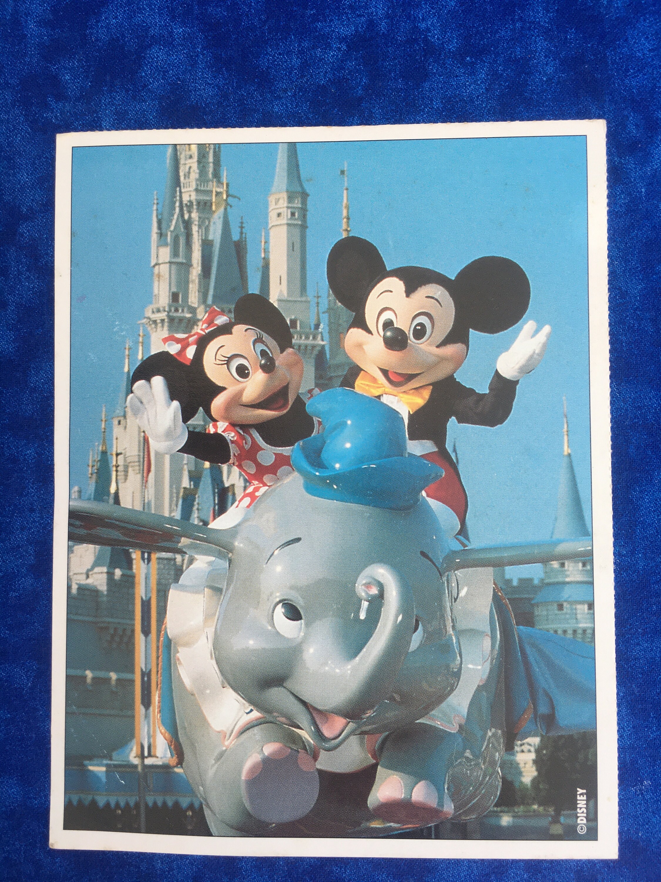 Vintage 8 Disney Post Cards Etsy