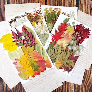 Pressed Dried Leaves & Flowers: Assorted Greenery for Resin Crafts