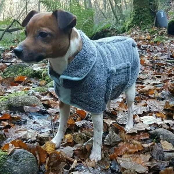 Personalised Ultimate Drying Dog Coat