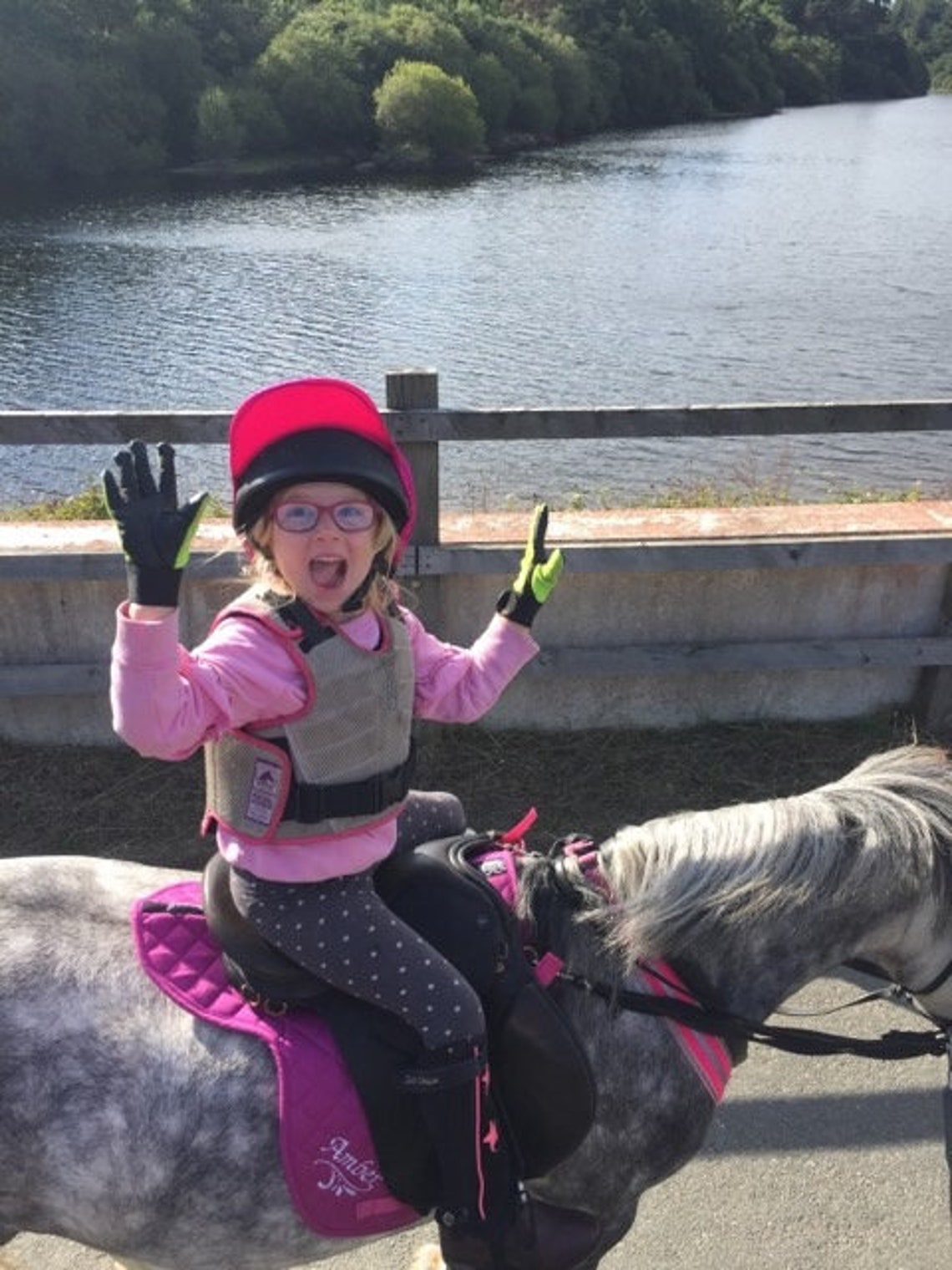 Personalised Embroidered Saddle Pad With Star Swirl, P,C,F, Saddle Cloth,Numnah