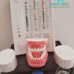 Tooth Gem Training Tooth Gem Certification Tooth Gem E course Tooth Tooth Gem Training Tooth Gem Certification Tooth Gem E course Tooth