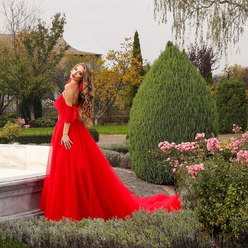 fitted lace wedding dress Graceprom Women's Velvet Evening Dress Long Sleeves Detachable Train Lace s Prom  Gown Red 2 at Amazon Women's Clothing store main image 1
