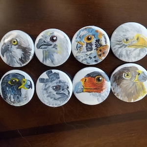 Bird of Prey Button