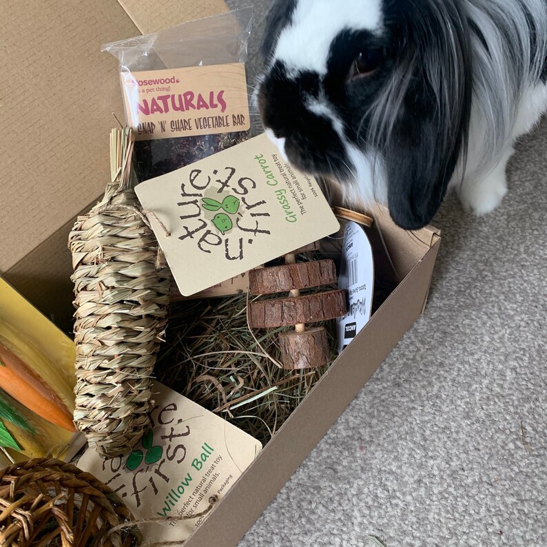 Gift Box for Rabbits Get Your Buns Out Etsy UK