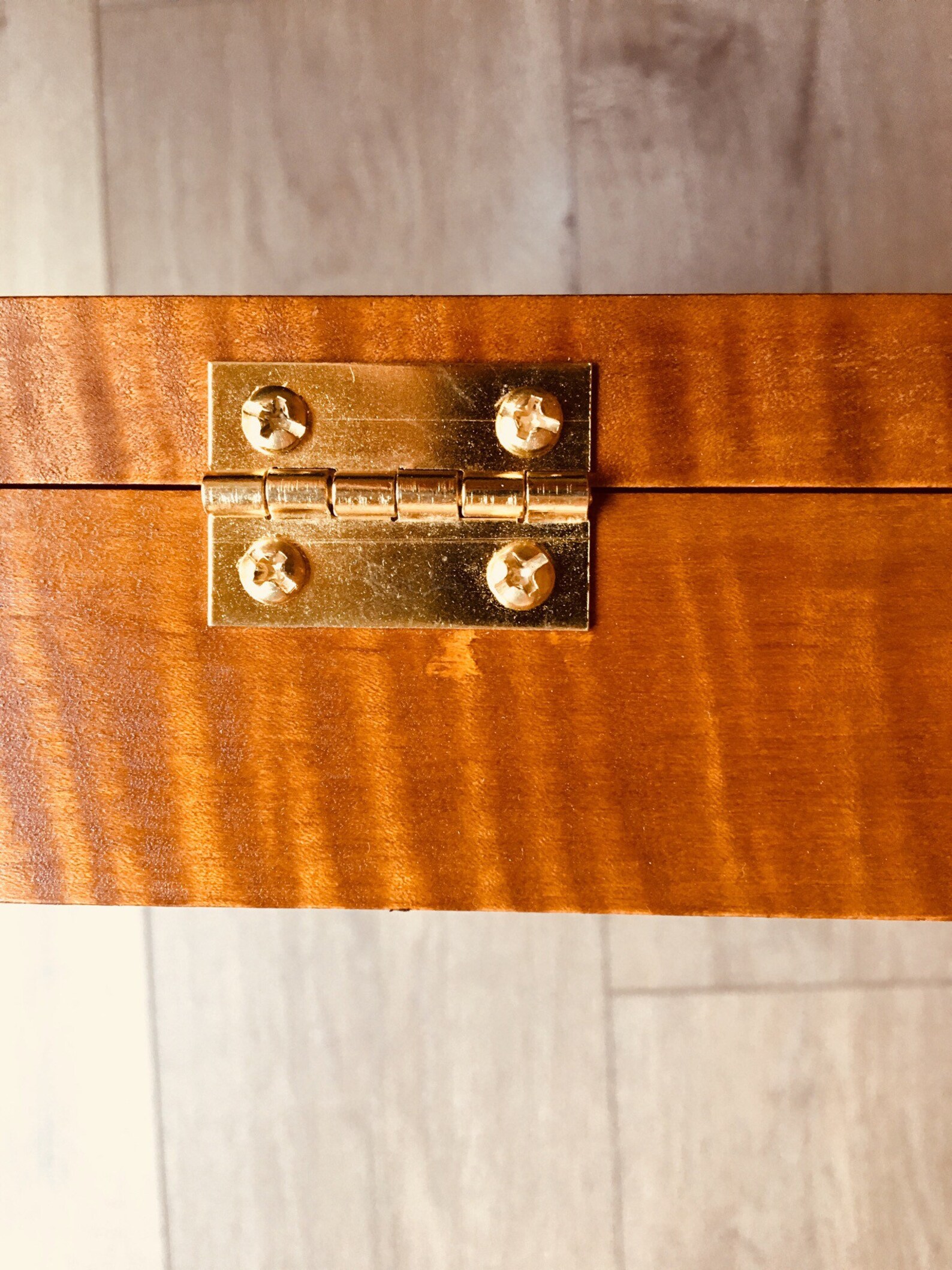 Artifact Display Case 12 X 16 X 2 1/2 Etsy