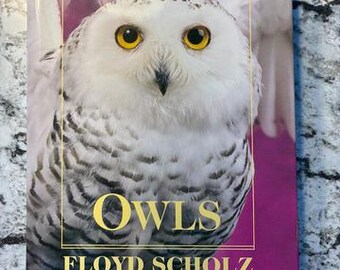 In Like New Condition "Owls by Floyd Scholz" 2001 1st Edition Hardcover with Dust Jacket