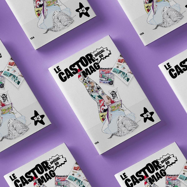 Zine 3 Le Castor // Revue, Fanzine, Queer, Feminism, LGBT+, Feminist Gift, Pride, Bande Dessinée, Art, Intersectionality, Activism, Artivism