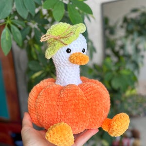 May include: A handmade plush goose with a white head, orange beak, and a green hat. The goose is nestled in an orange pumpkin body with orange feet. The plush toy is made of soft, textured yarn.