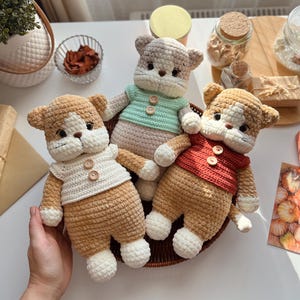 Pu&ograve; includere: Tre bambole a forma di gatto all'uncinetto fatte a mano in un cestino intrecciato. Ogni gatto ha una combinazione di colori marrone e bianco, con maglioni di diversi colori: bianco, verde chiaro e rosso. Le bambole hanno dettagli di bottoni e sono esposte su una superficie bianca.