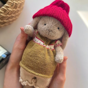 Puede incluir: Un conejito de peluche tejido que lleva un gorro rojo tejido y un vestido a rayas verdes y blancas. El conejito está siendo sostenido por las manos de una persona.