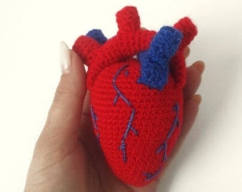 Amigurumi Pattern Crochet Anatomical Heart Plush Toy \ Present Valentine's Day \Crochet Body Organ \ realistic heart pattern