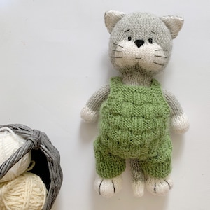 Strickanleitung Katze, DIY Stofftier, Katze im Overall, Geschenk für Kinder, Neujahrsgeschenk, Stofftier Anleitung PDF Bild 2