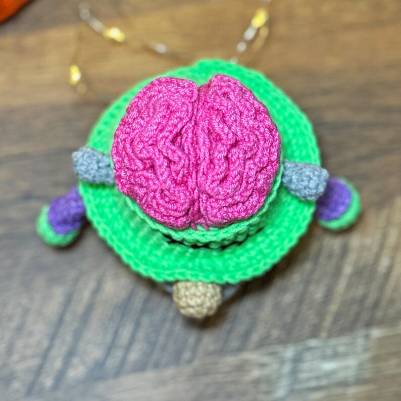 May include: A crocheted green and pink brain-shaped toy with a gray and purple crocheted flower on the side.