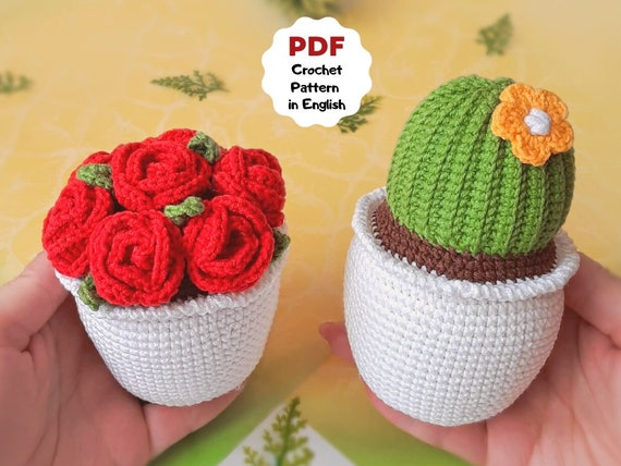 Crochet Beginner Kit Cactus Succulent Beginner Crochet Kit With