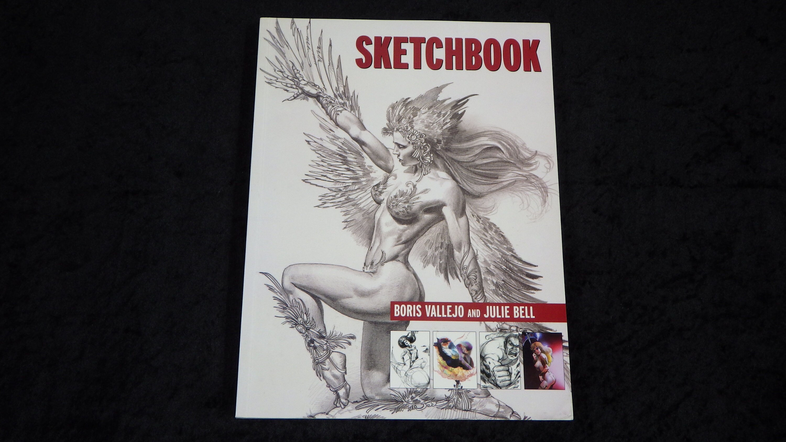 Sketchbook　Boris Vallejo Julie Bell Sketchbook: Vallejo, Boris, Bell, Julie: 9781560253471