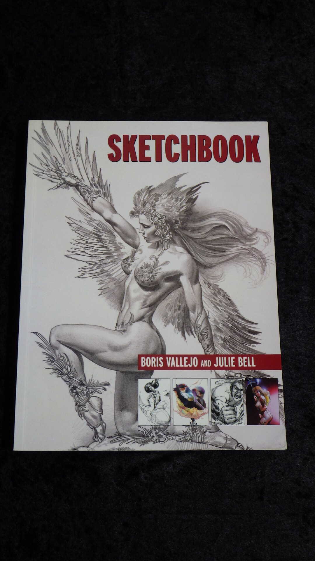 Sketchbook　Boris Vallejo Julie Bell The Sketchbook - Boris Vallejo and Julie Bell,Boris Vallejo