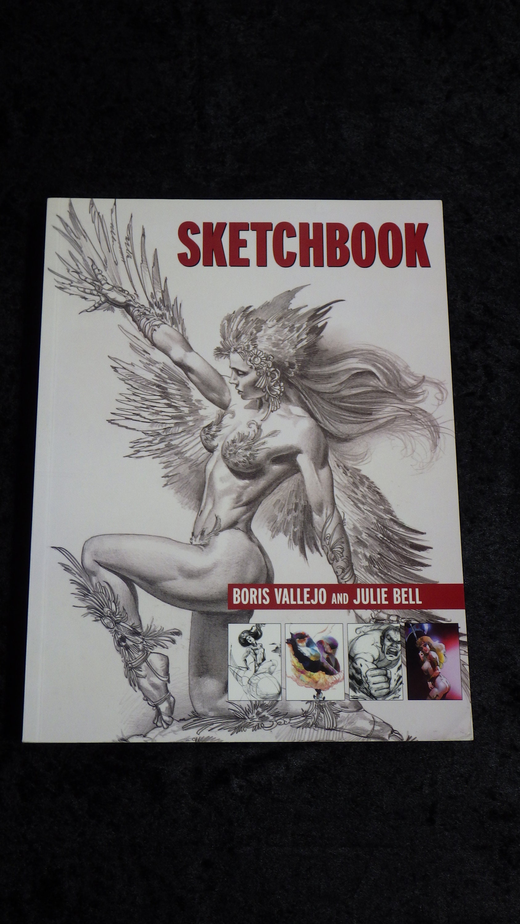 Sketchbook　Boris Vallejo Julie Bell Boris Vallejo & Julie Bell - Sketchbook - Thunder's Mouth