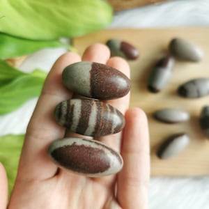 Piedra lingam de Shiva - piedra hindú sagrada - piedra de río indio