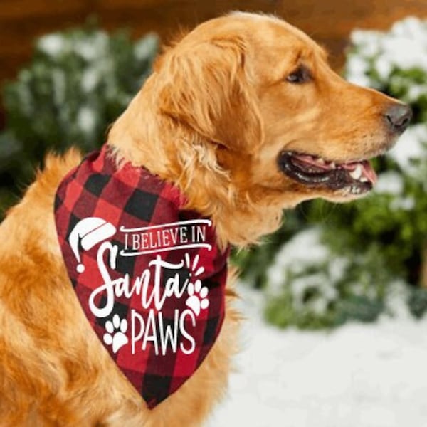 Bandana, Dear Santa I can Explain, Christmas Pet Bandana