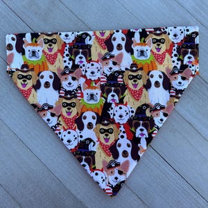 Halloween Dog Bandana: Pumpkin Witch Over-the-Collar Pet Costume