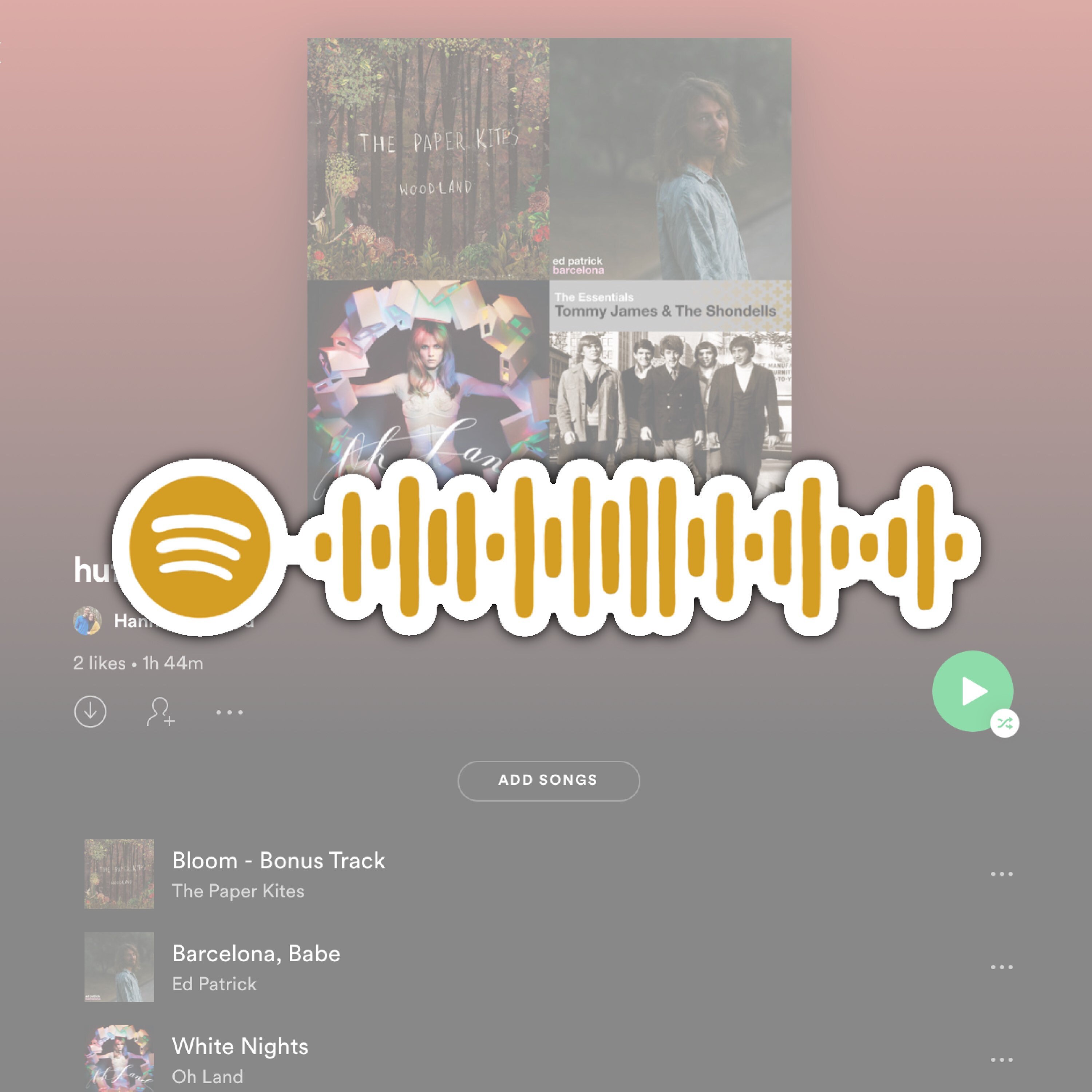 paypal spotify code paypal spotify code