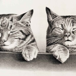 Vintage Cat Poster Print Cats Thomas Hunter - Cute Cat Poster - Vintage Cat Print UK, EU USA Domestic Shipping