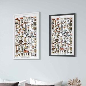 Vintage Mushroom Framed Poster - Adolphe Millot Champignons Pour Tous Framed Print UK, EU USA Domestic Shipping