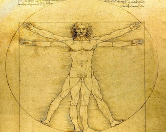 3.5 インチ マグネット - レオナルド ダヴィンチ - ウィトルウィウス的